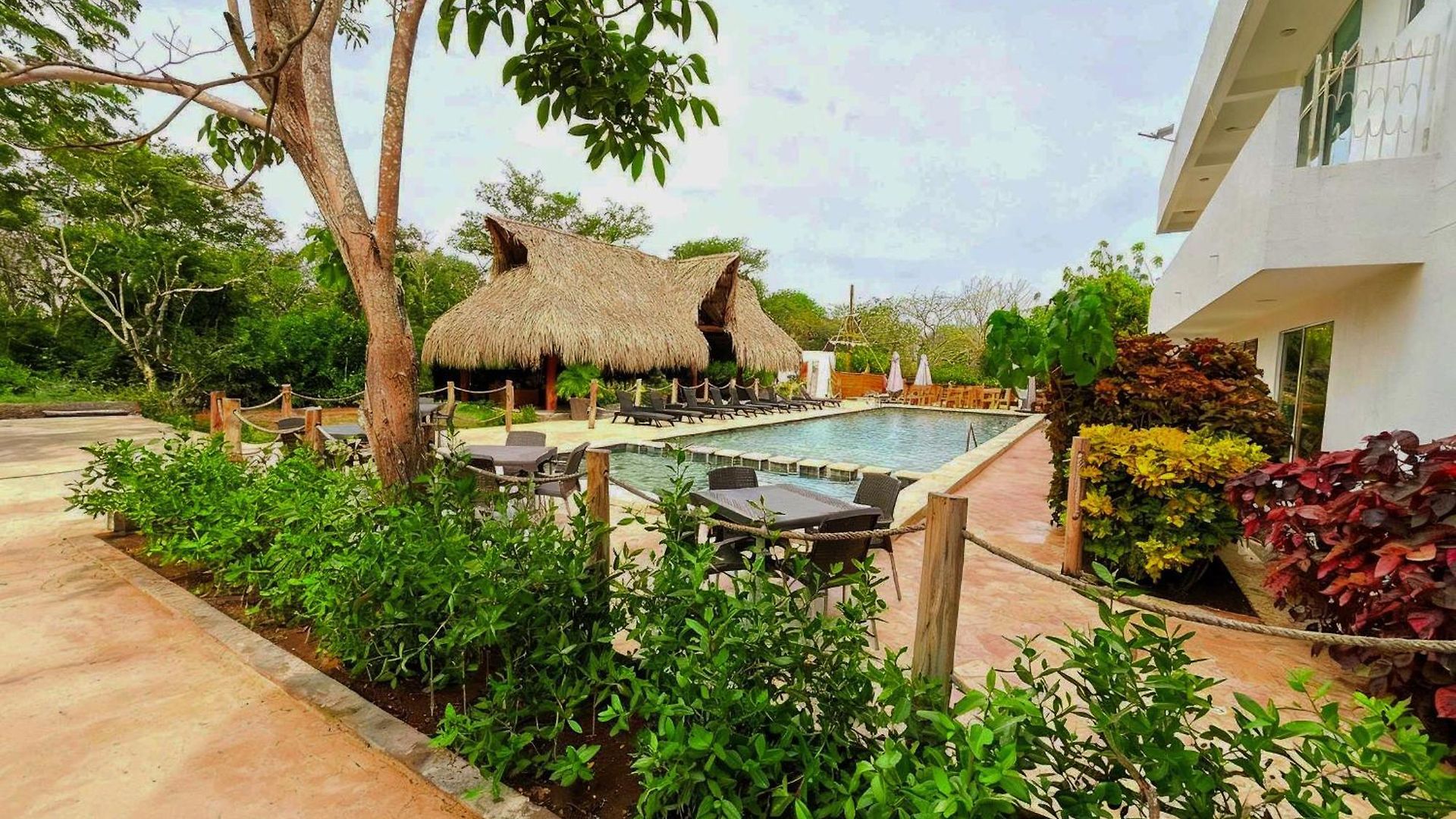 Eco Oasis Del Mar Hotel
